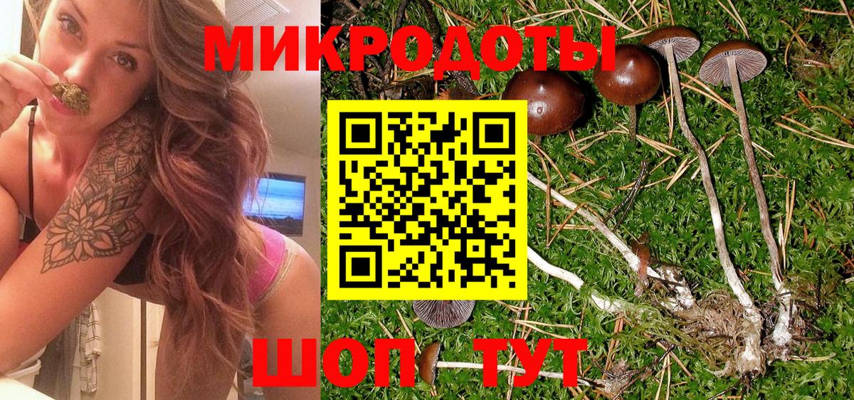 что такое   Псилоцибиновые грибы мухоморы  Вход с VPN  Грязи 