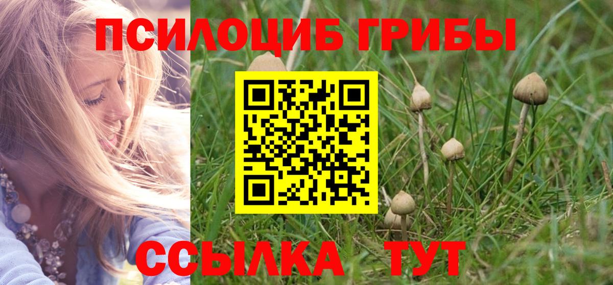 Галлюциногенные грибы ЛСД Грязи